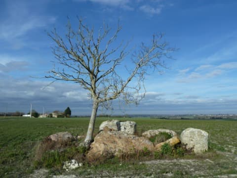 Couvreur Antoigné