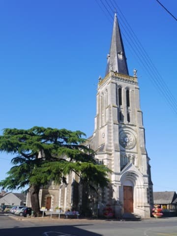 Couvreur Baracé