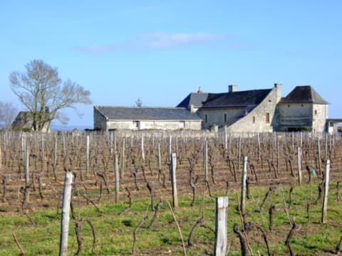 Couvreur Turquant